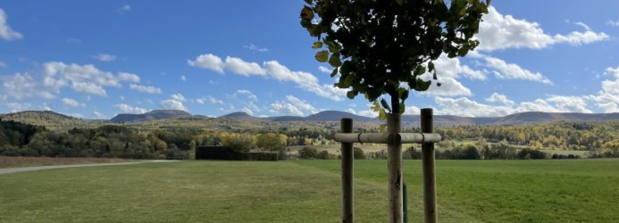 Schwäbischer Albverein | Ortsgruppe Ohmenhausen